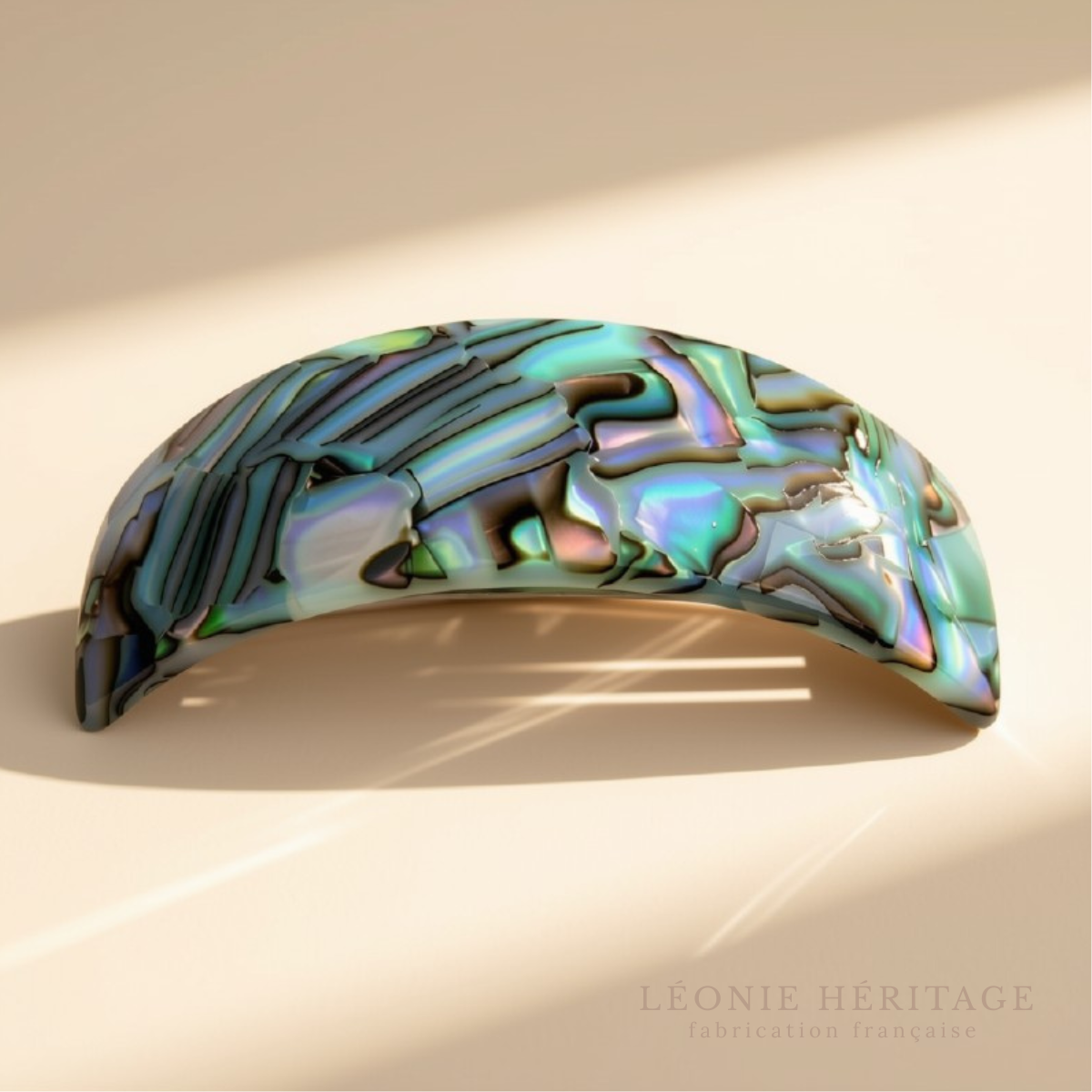 Barrette cheveux épais